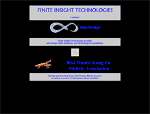 Tablet Screenshot of finiteinsight.com